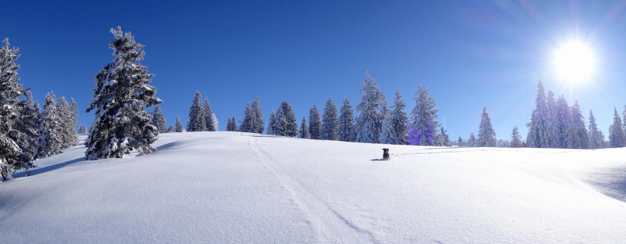 Erzberg Alpin Resort By Alps Resorts Eisenerz Buitenkant foto